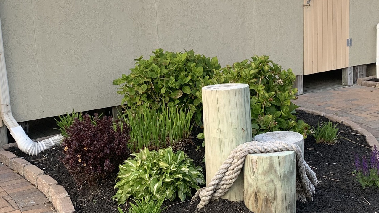 Photo of Outdoor in South Beach Haven