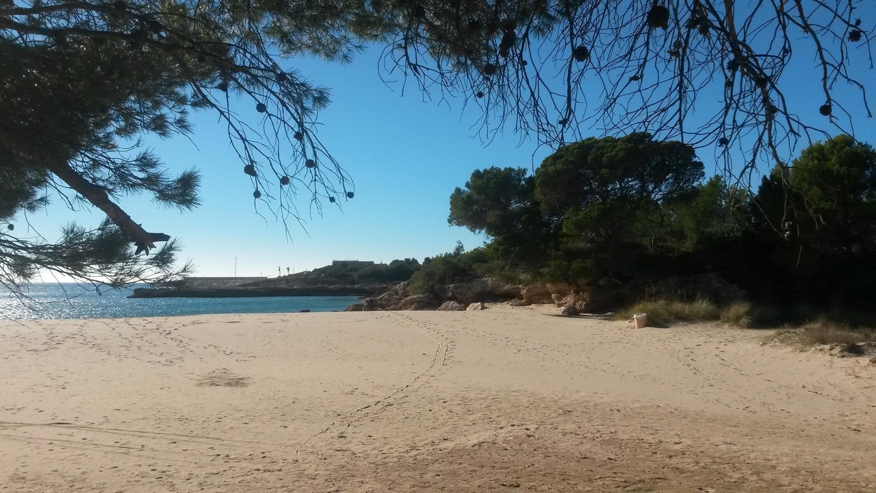 Photo of Others in Roques Daurades
