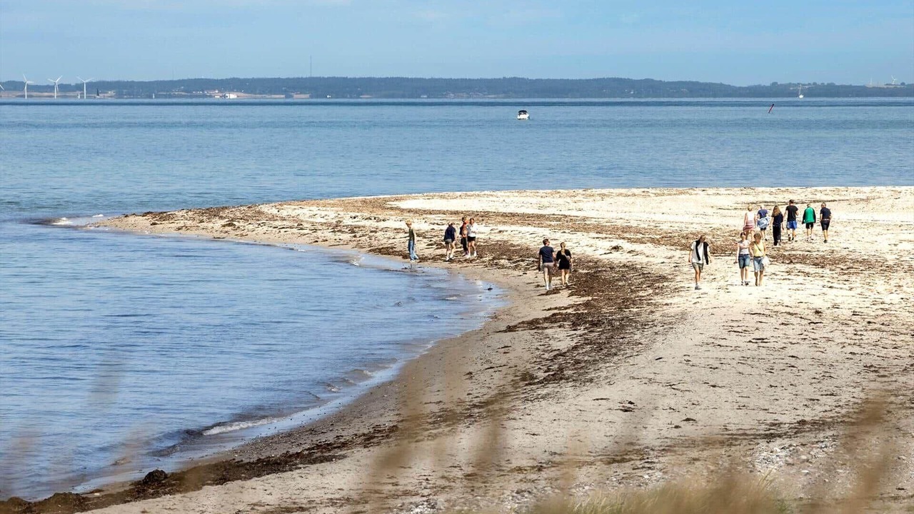 Photo of Others in Tranebjerg