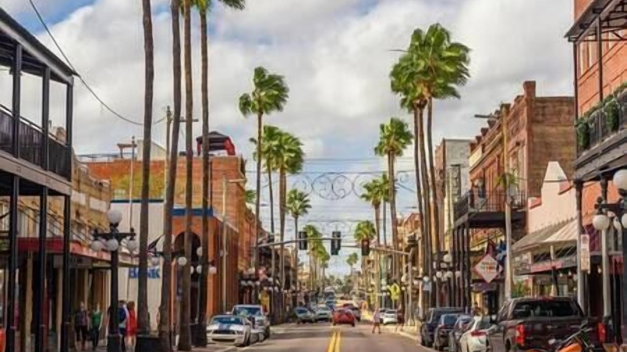 Photo of Others in Port Tampa City