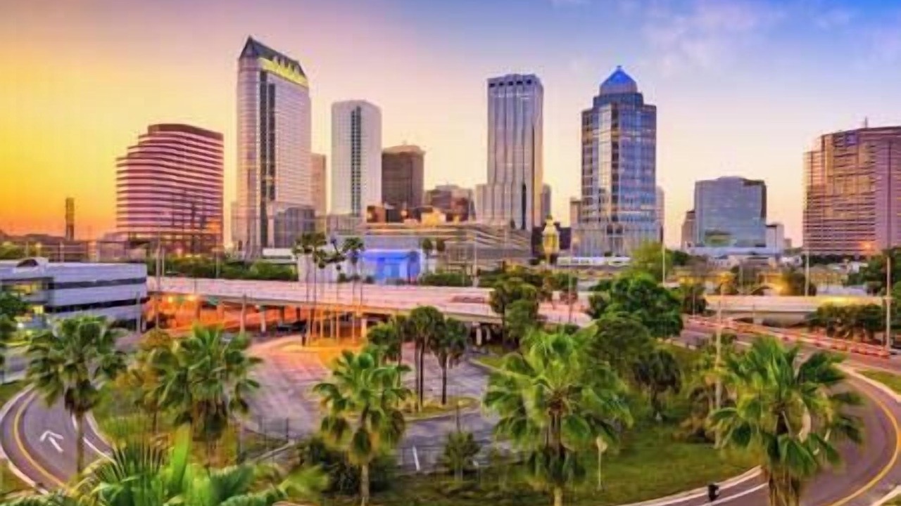 Photo of Others in Port Tampa City