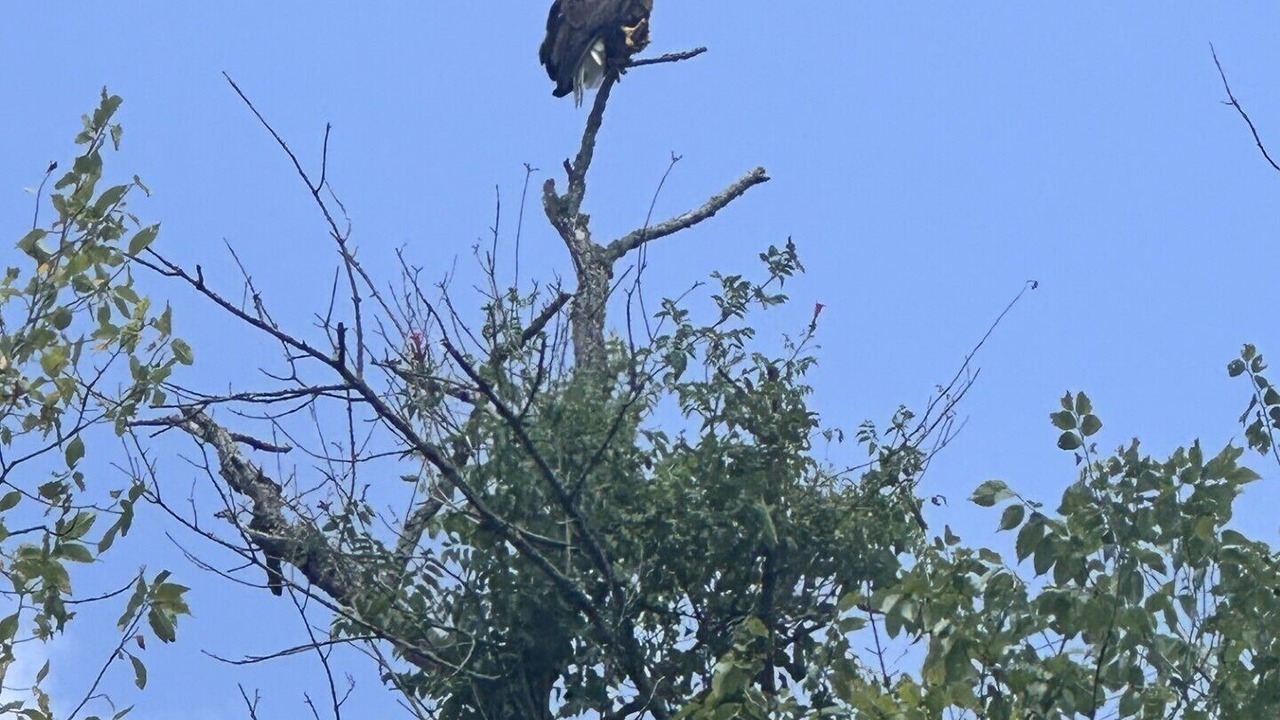 Photo of Others in Doniphan