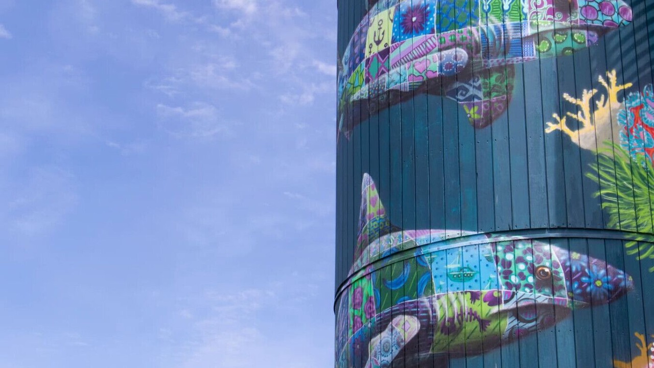 Photo of Others in Plymouth