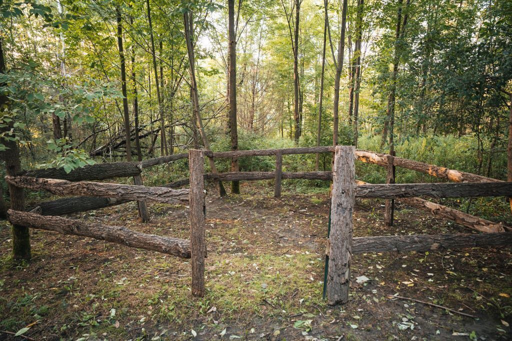 Photo of Others in Town of Sempronius