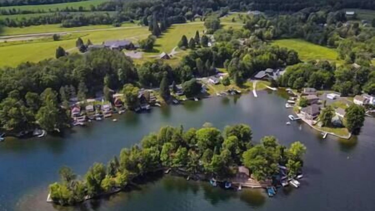 Photo of Others in Hamilton