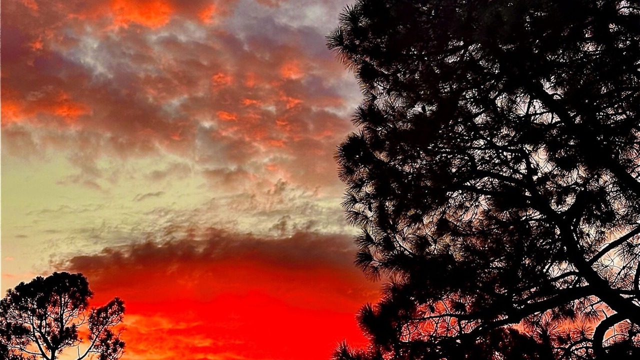 Photo of Outdoor in Texarkana