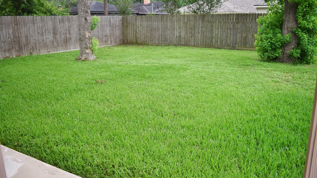 Photo of Outdoor in Westbury