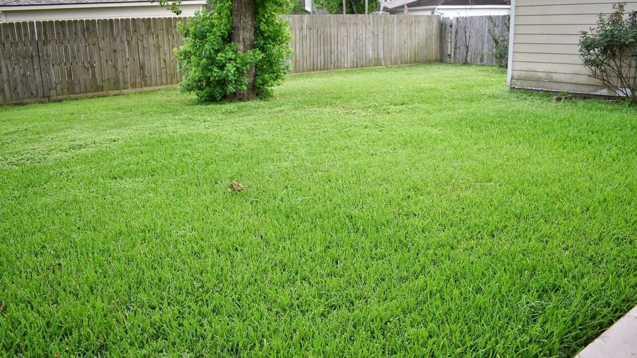 Photo of Outdoor in Westbury