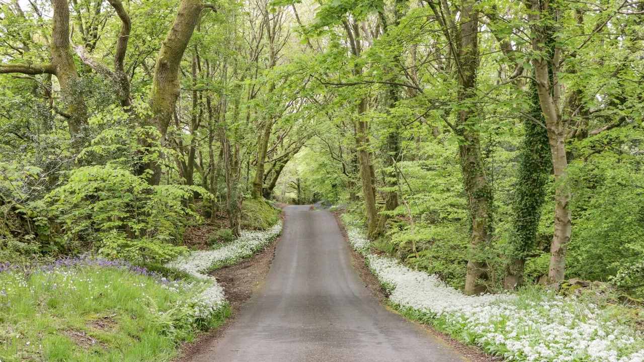 Photo of Others in Kirkby Stephen