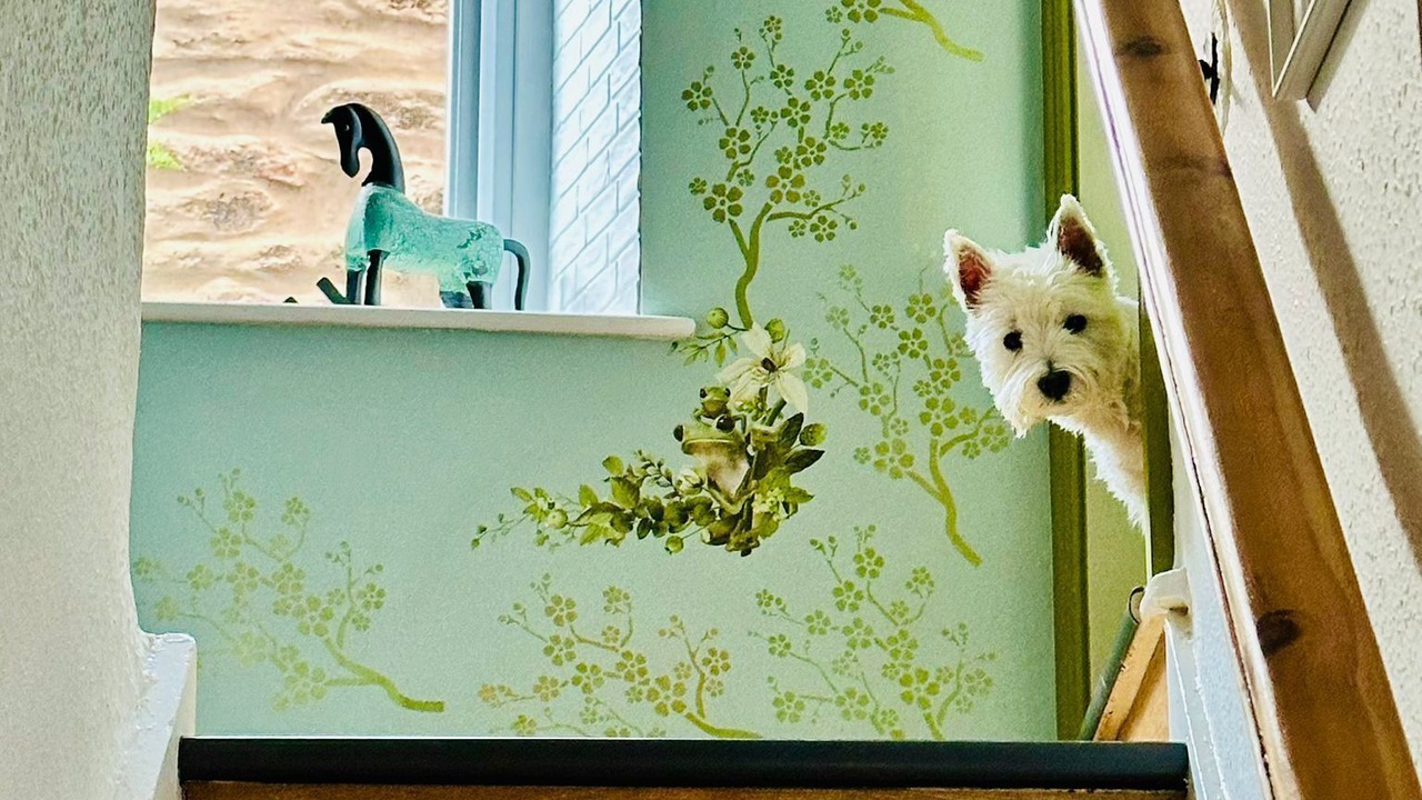 Photo of Others in Kirkby Stephen