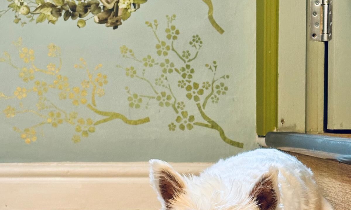 Photo of Others in Kirkby Stephen