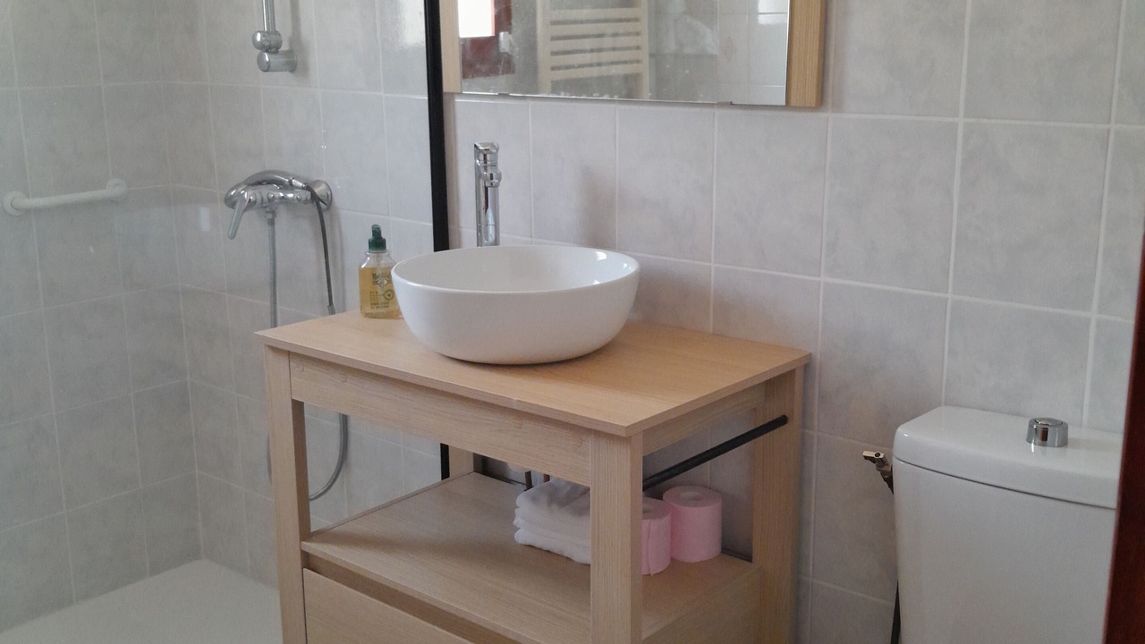 Photo of Bathroom in Saint-Genies-de-Comolas