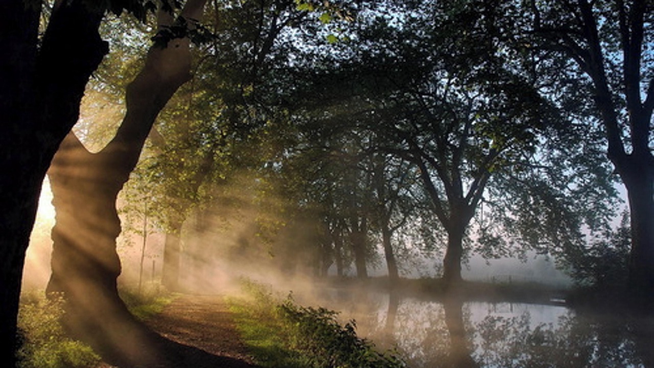 Photo of Others in Blaignac