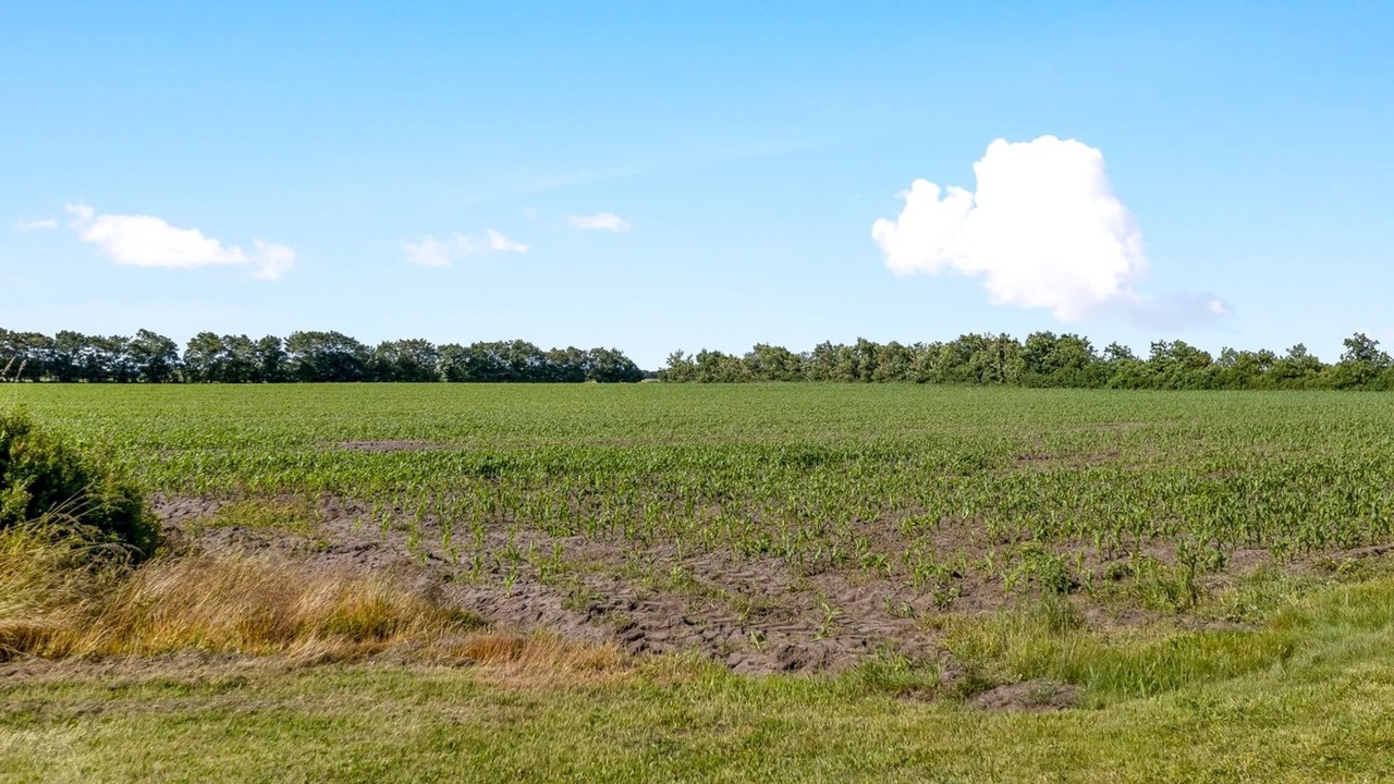 Photo of Others in Ballum