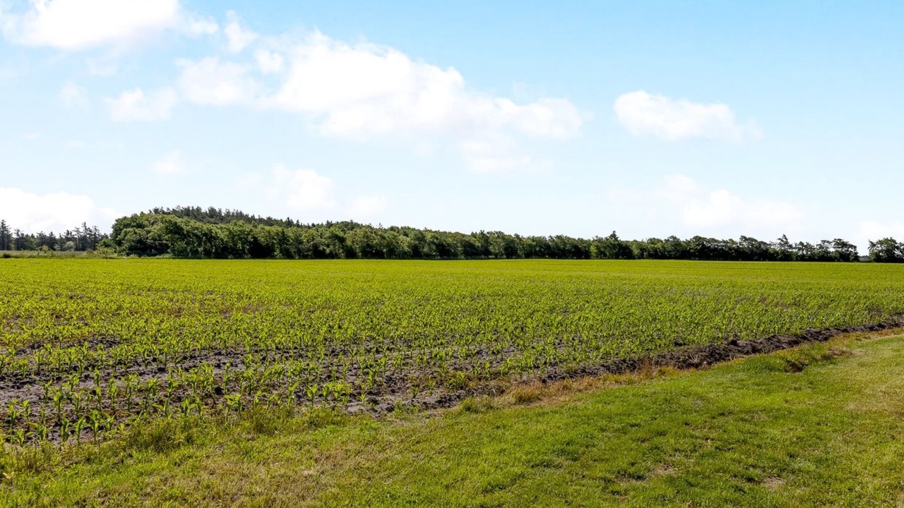 Photo of Others in Ballum