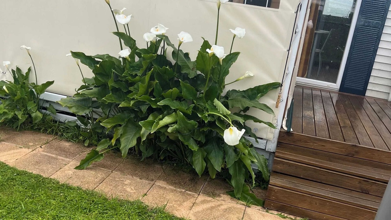 Photo of Outdoor in Saint-Arnoult