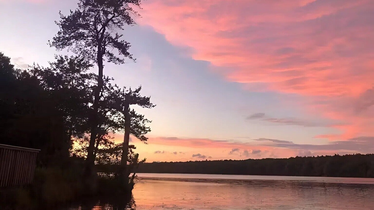 Photo of Others in Poyntelle