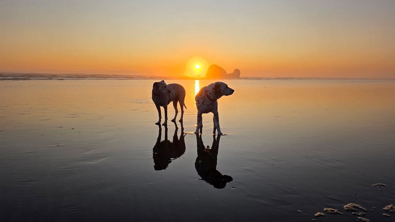 Photo of Others in Copalis Beach