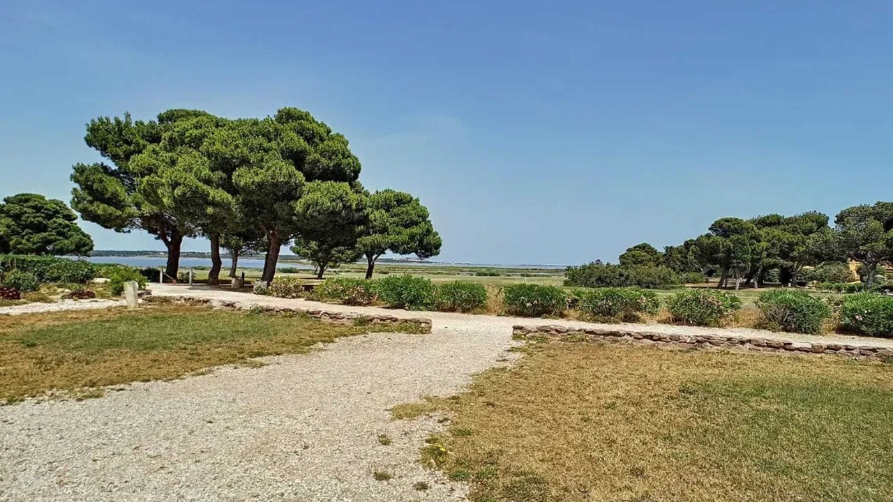 Photo of Others in Fitou