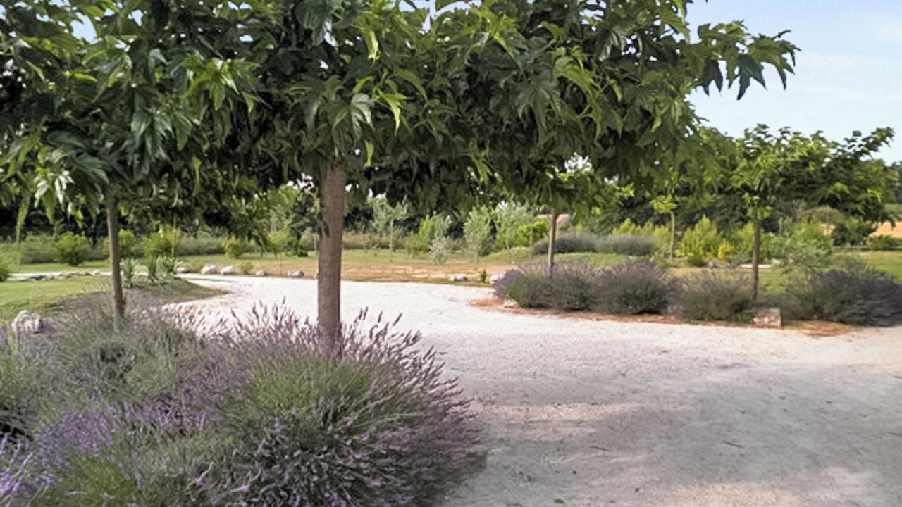 Photo of Outdoor in Oppede