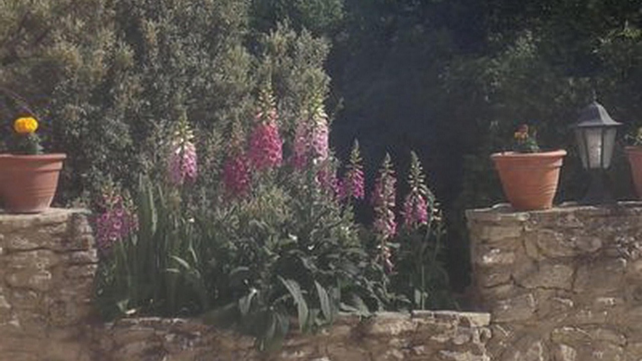 Photo of Outdoor in Malaucene