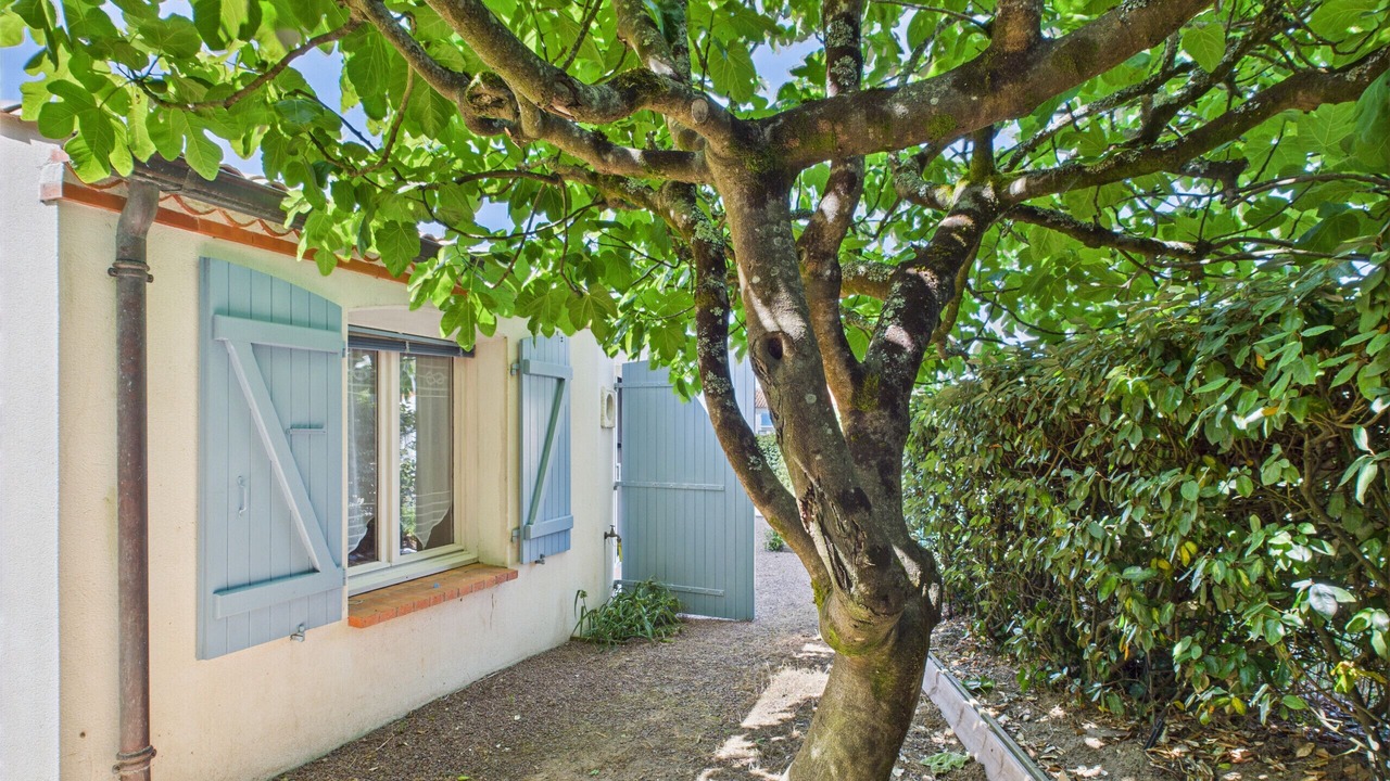 Photo of Outdoor in Les Conches