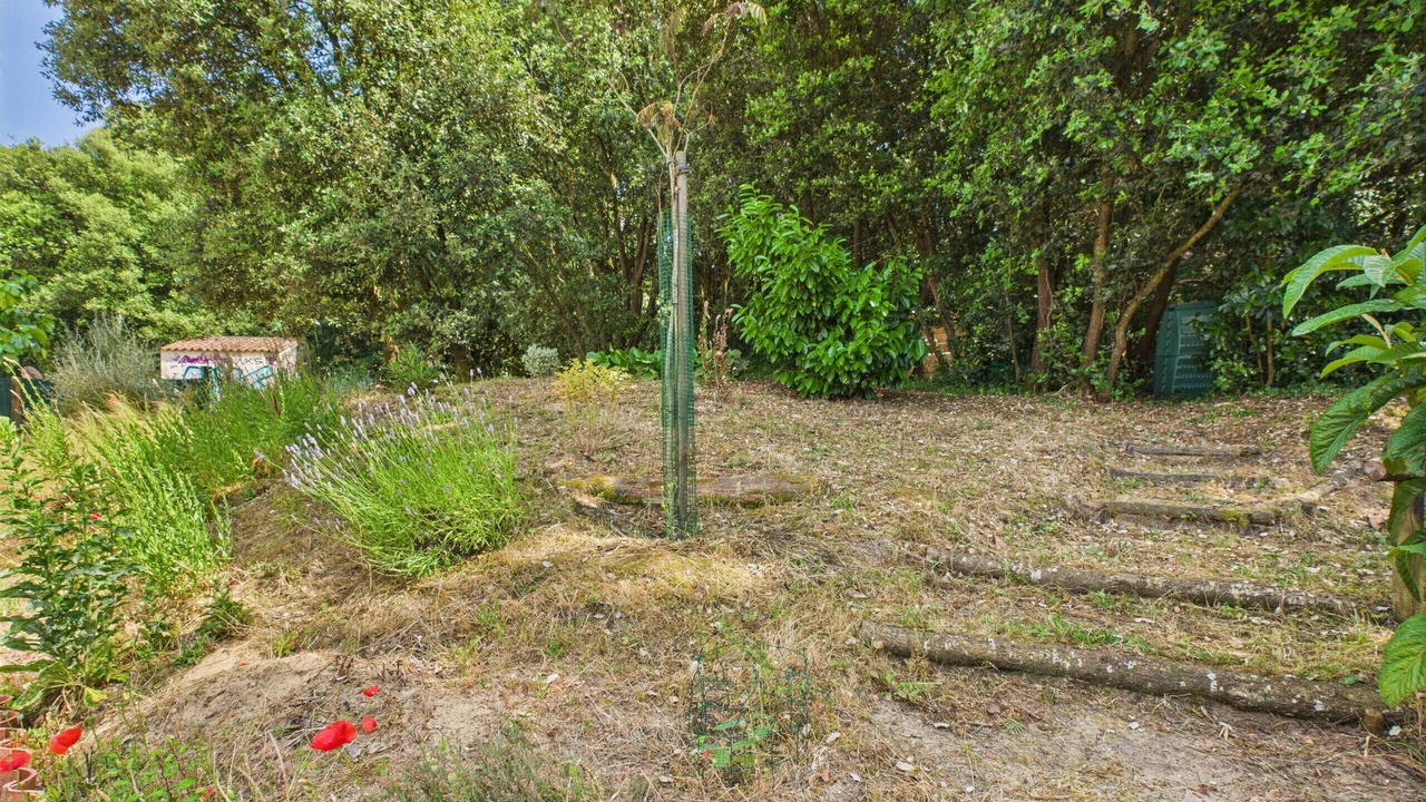 Photo of Outdoor in Les Conches