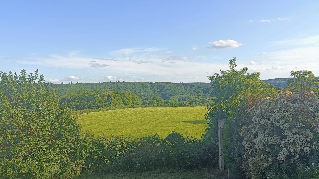 Photo of Others in Saint-Leger-Vauban