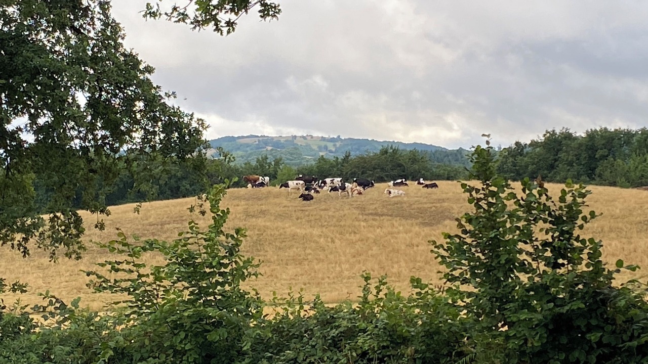 Photo of Others in Saint-Mamet-la-Salvetat