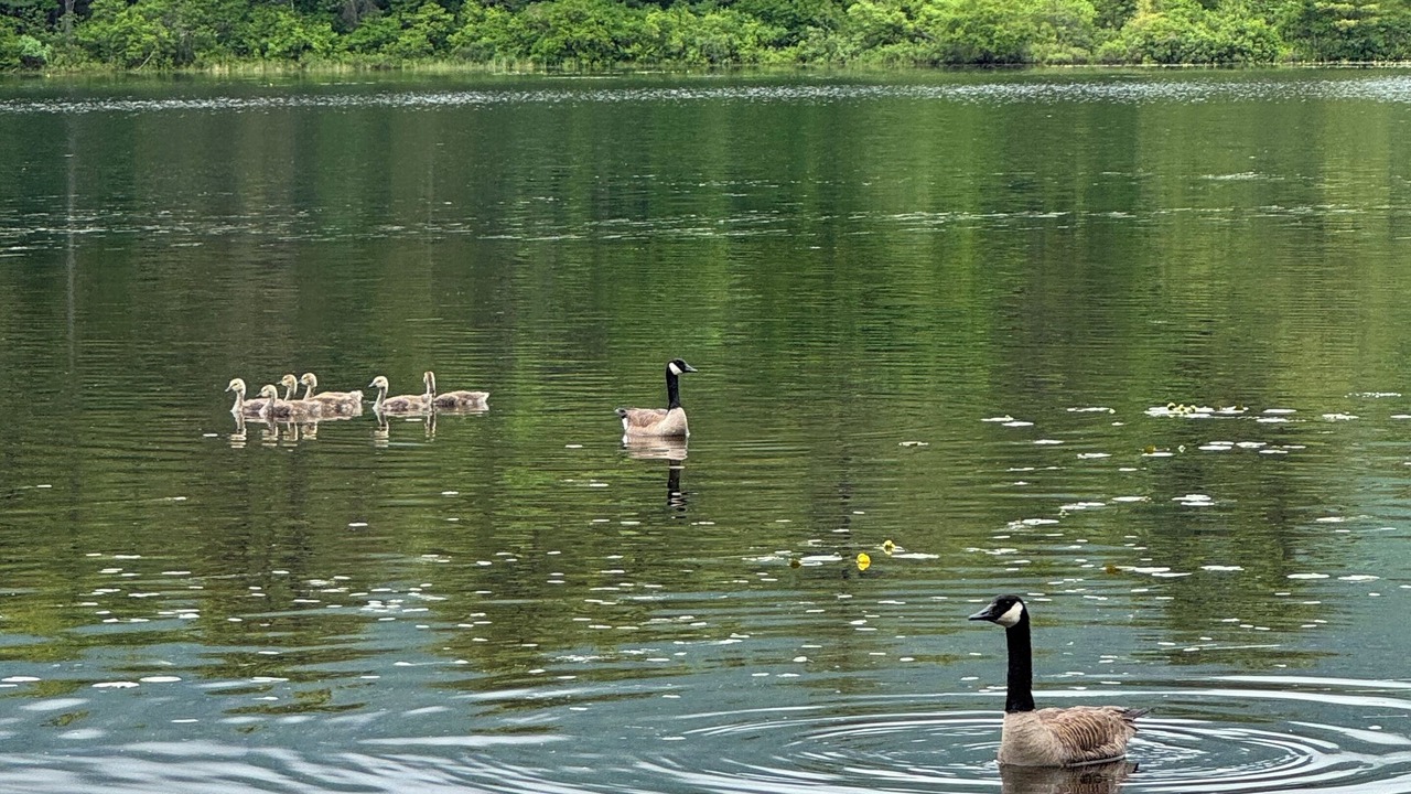 Photo of Others in Denmark