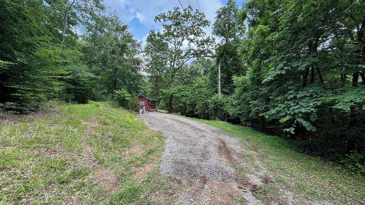 Photo of Outdoor in Chickamauga Lake
