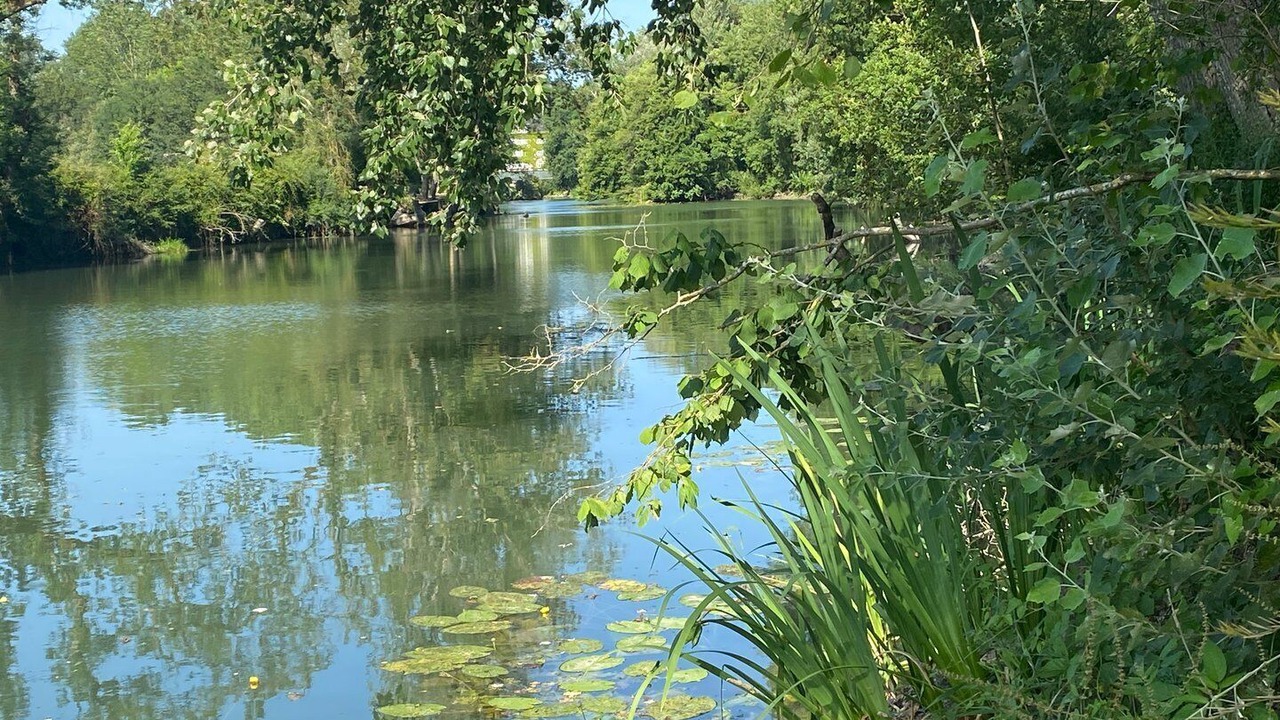 Photo of Others in Courcay