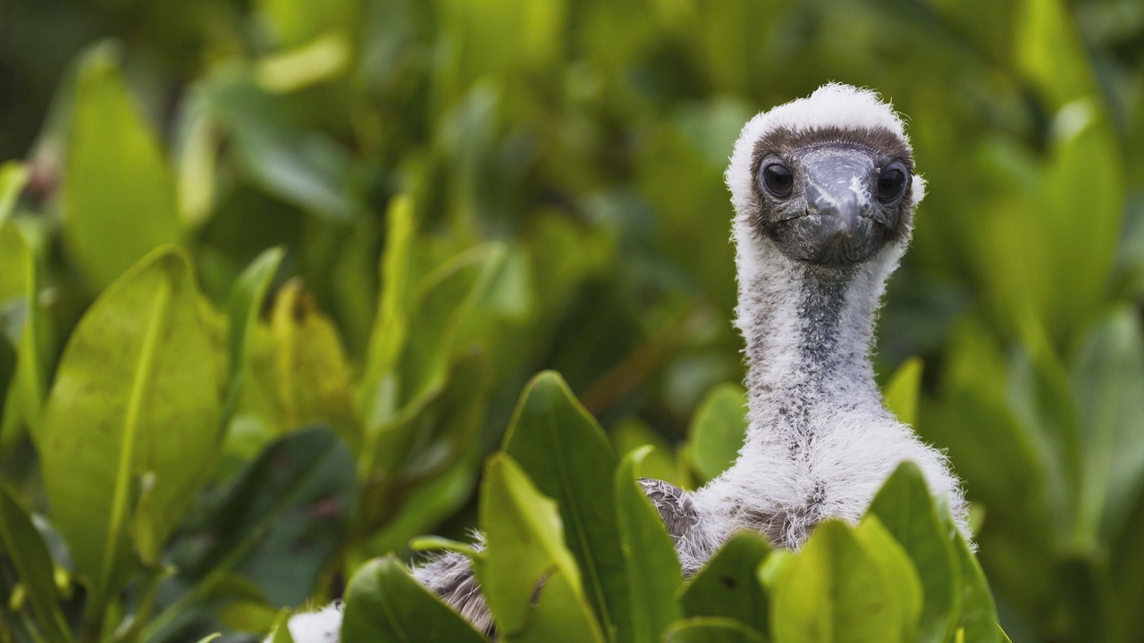 Photo of Others in Le Pontet