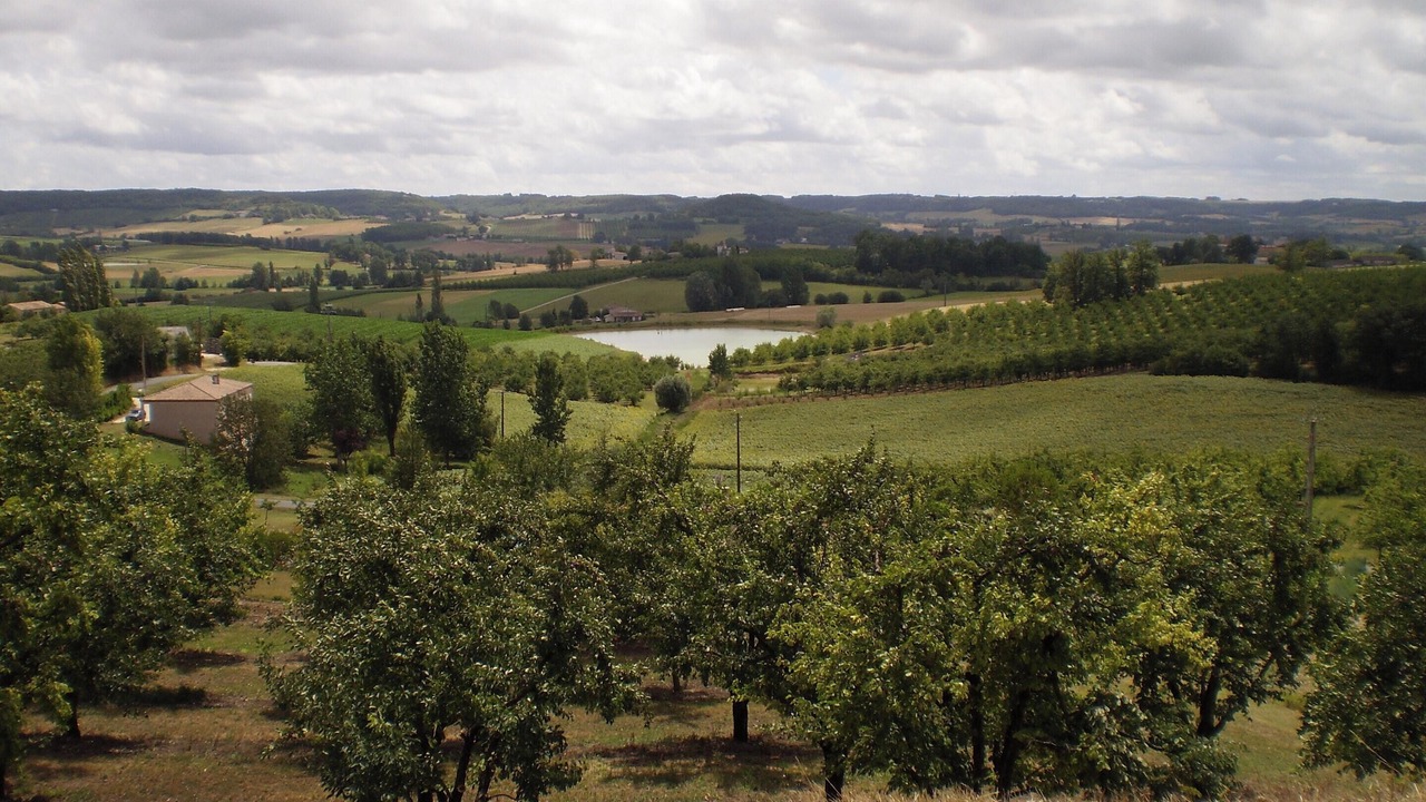 Photo of Outdoor in Dausse