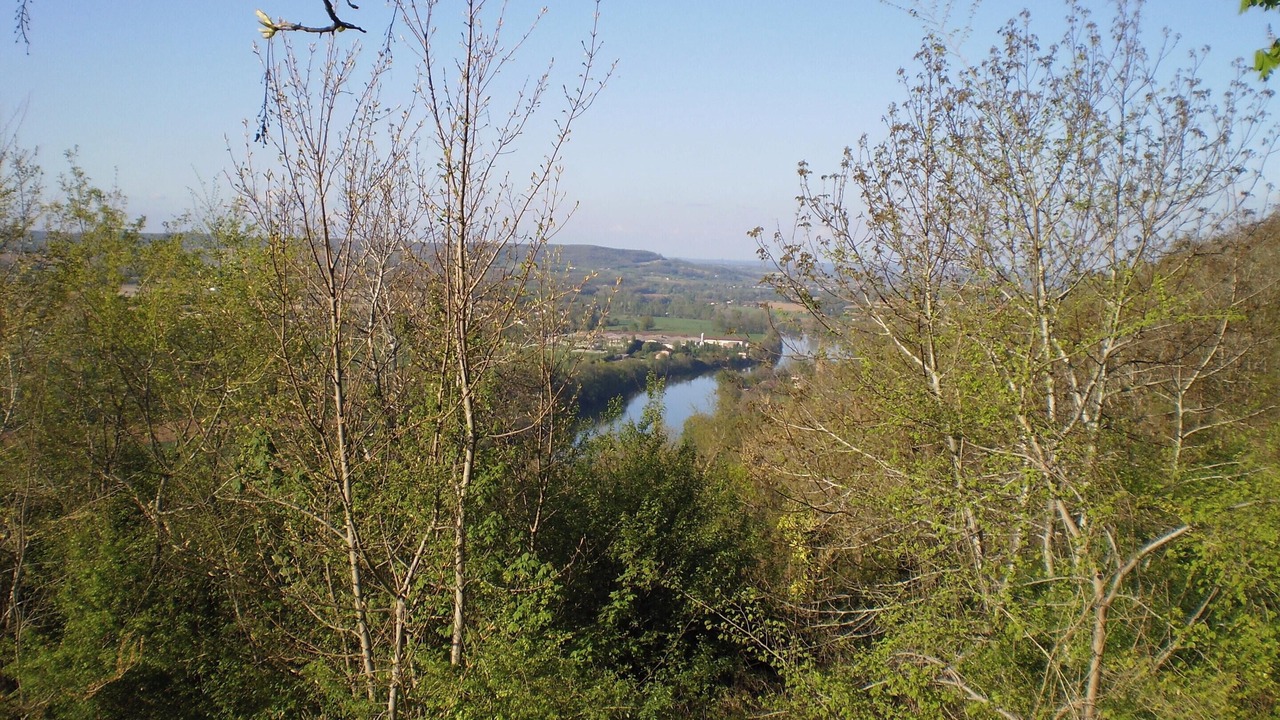 Photo of Others in Dausse