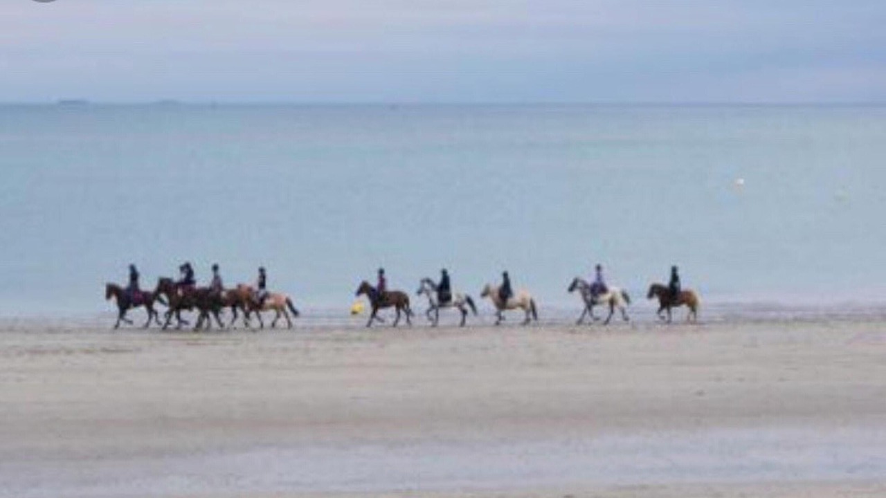 Photo of Others in Saint-Andre-des-Eaux