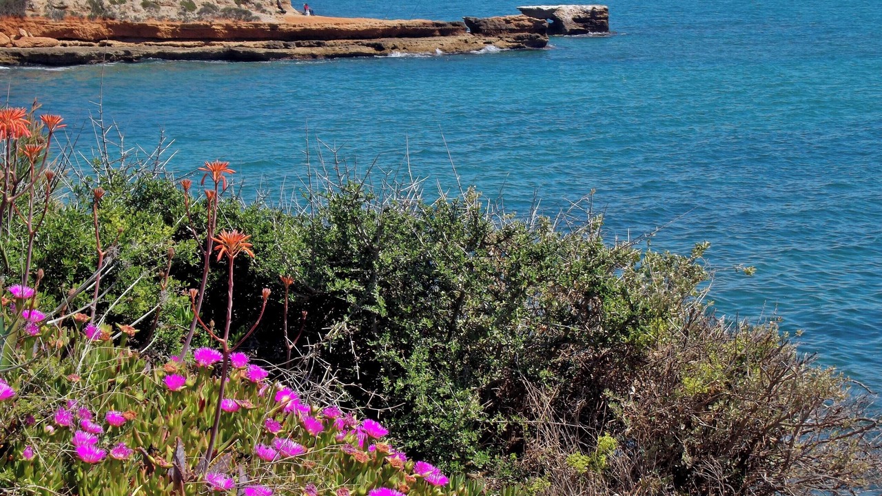 Photo of Others in Vinaros