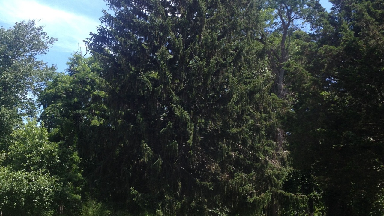 Photo of Others in Coecles Harbor