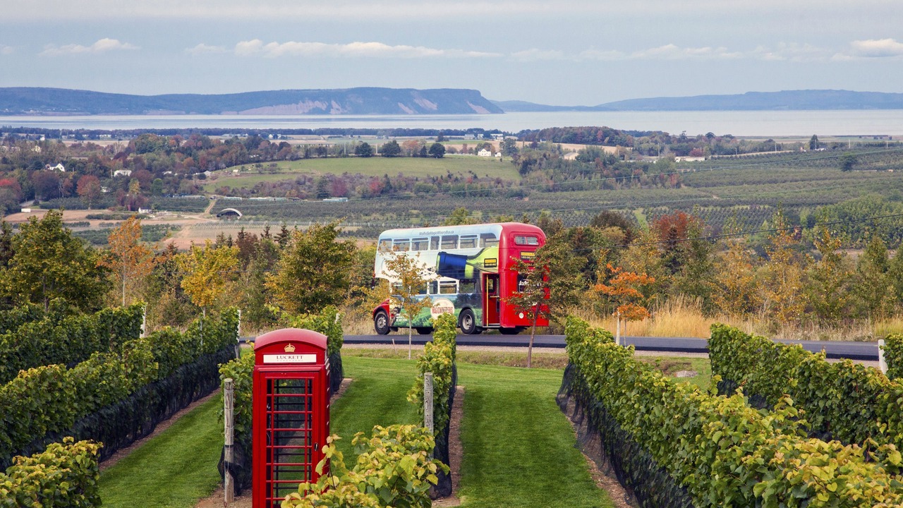 Photo of Outdoor in Wolfville
