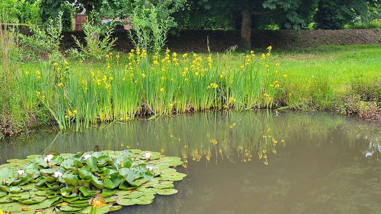 Photo of Outdoor in Bacqueville-en-Caux