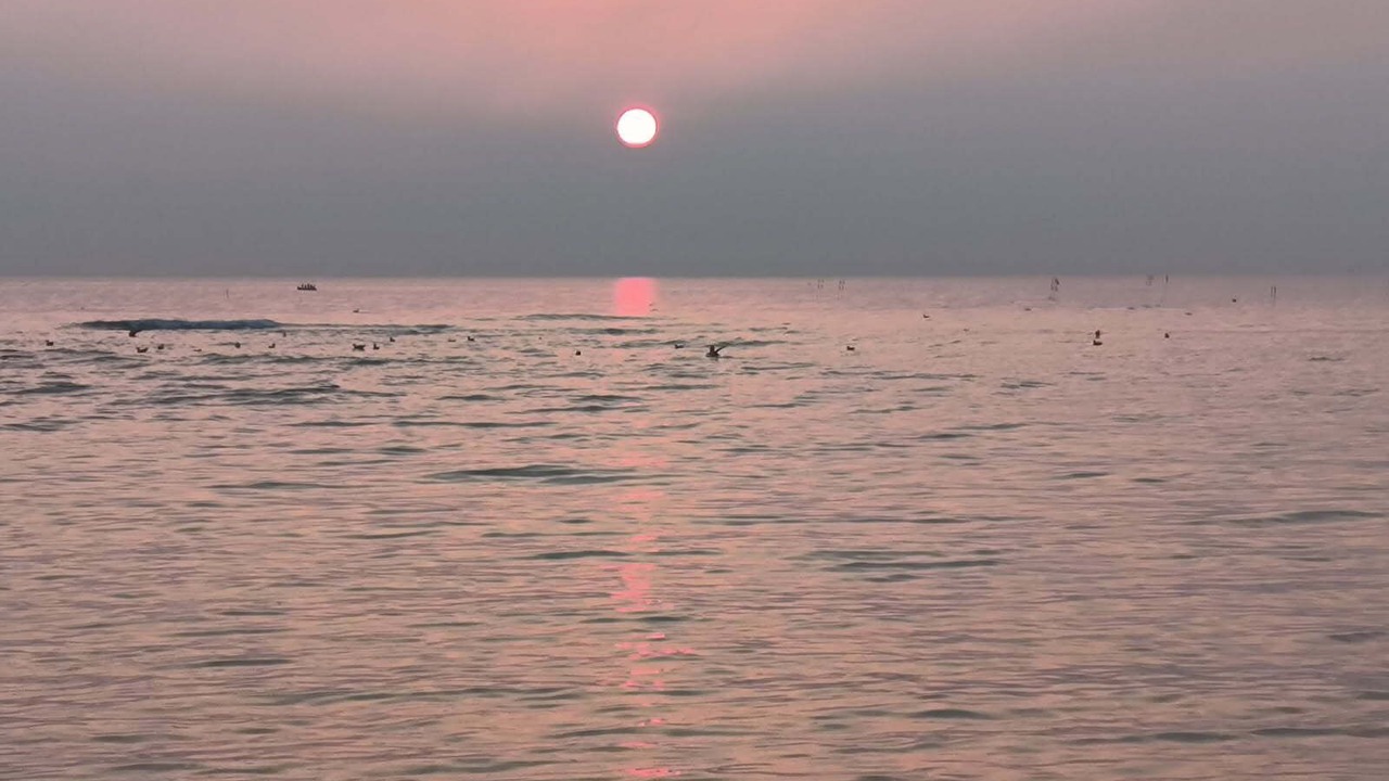 Photo of Others in Longfosse