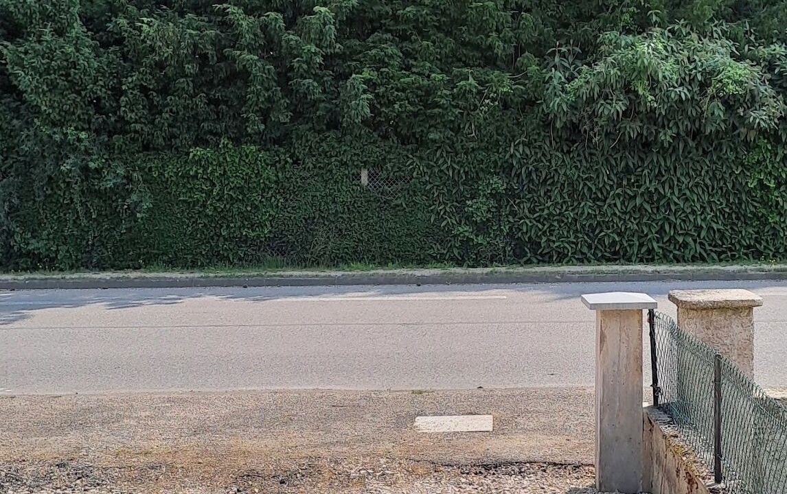 Photo of Outdoor in Damparis