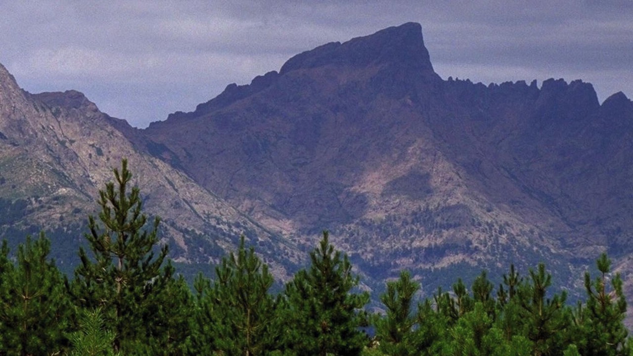 Photo of Others in Galeria