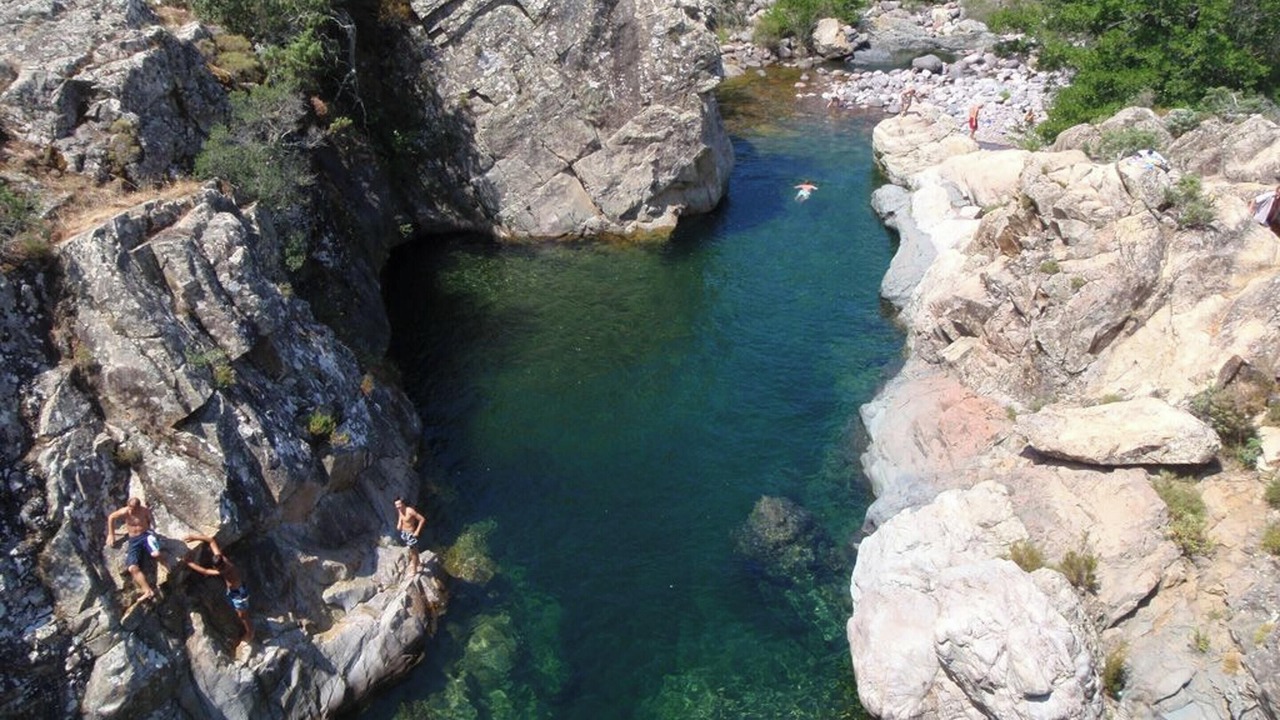 Photo of Others in Galeria