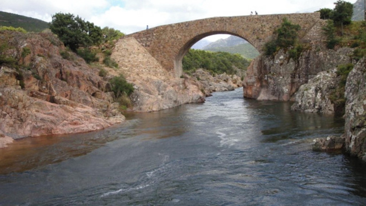 Photo of Others in Galeria