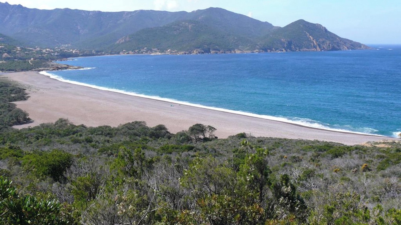 Photo of Livingroom in Galeria