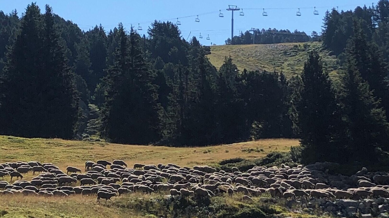 Photo of Others in Chamrousse