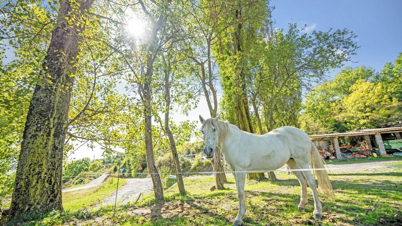 Photo of Outdoor in Ardanue