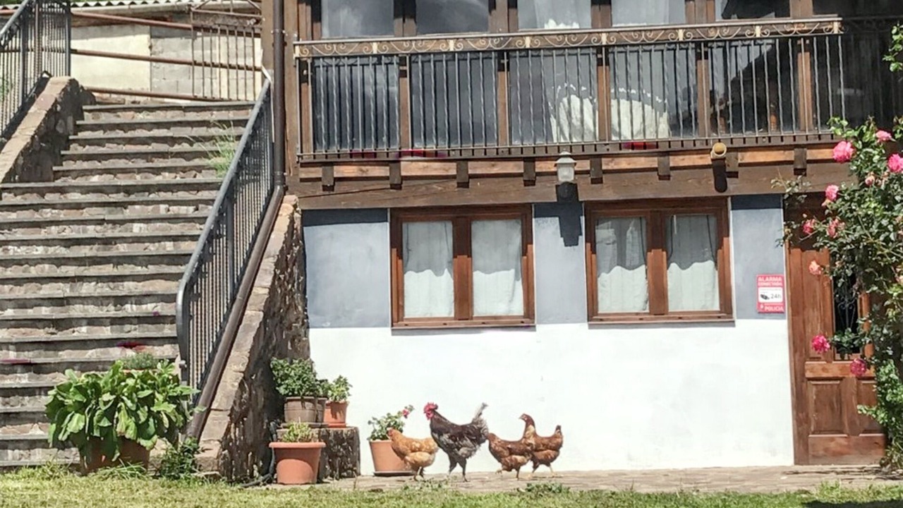 Photo of Outdoor in Ardanue