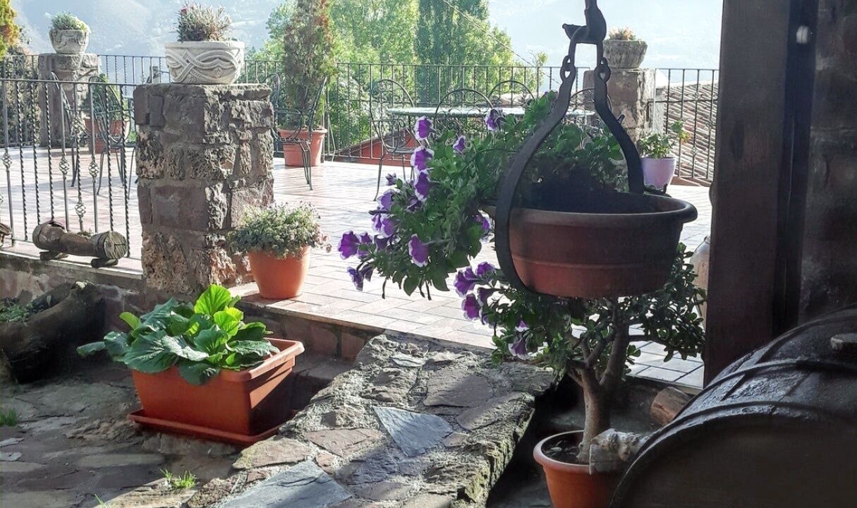 Photo of Others in Ardanue